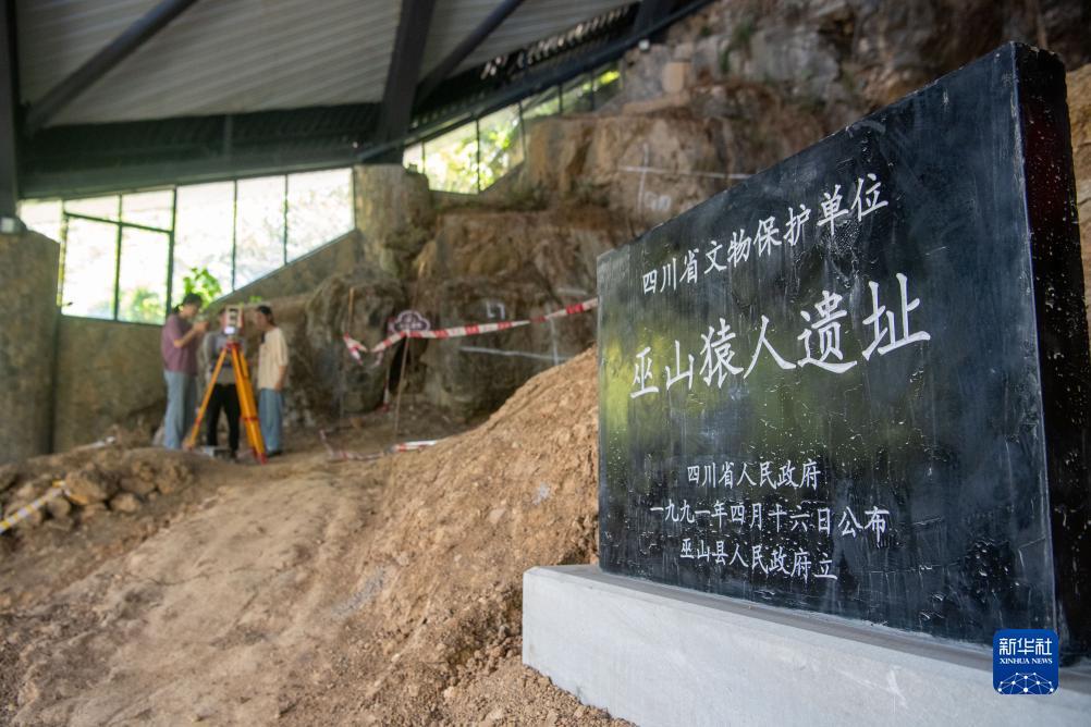 白菜网官网